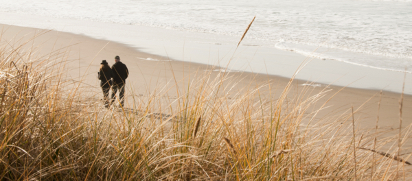 Protection and insurance